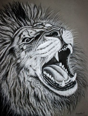 lion rugissant